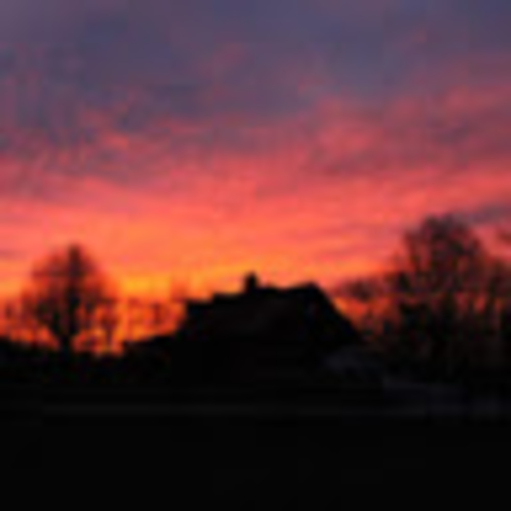 Meet your Posher, Willow